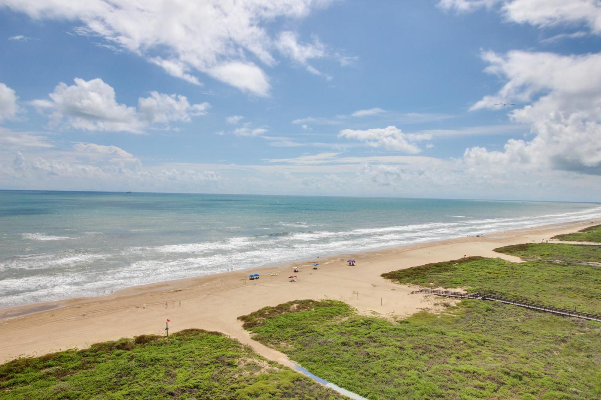 Sunchase Beachfront #210 South Padre Island Exteriör bild